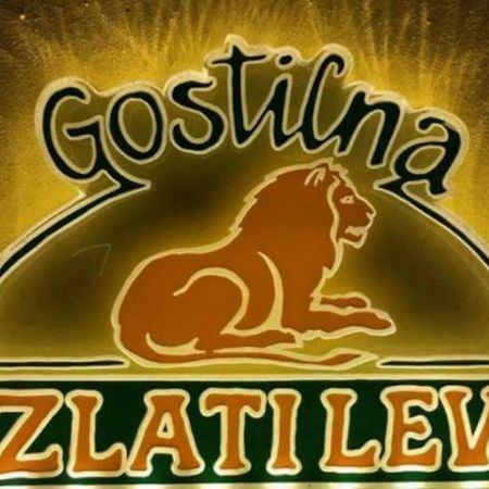 Gostilna In Apartmaji Zlati Lev - Maribor Kültér fotó